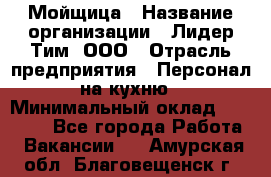 Мойщица › Название организации ­ Лидер Тим, ООО › Отрасль предприятия ­ Персонал на кухню › Минимальный оклад ­ 31 350 - Все города Работа » Вакансии   . Амурская обл.,Благовещенск г.